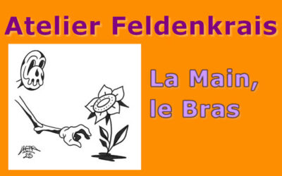 Atelier Feldenkrais « La Main, le Bras » le 8 février 2025 à Gap – Inscrivez-vous !